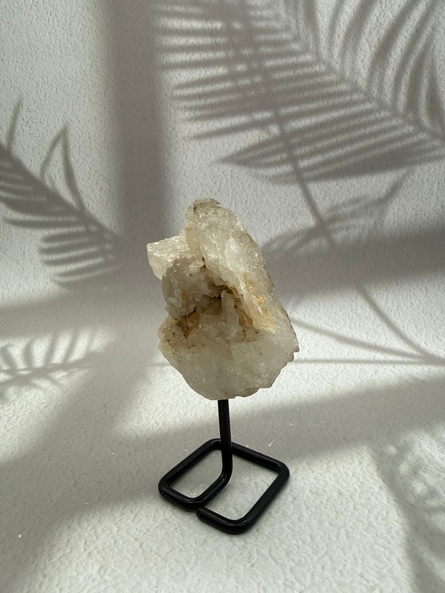 Krokodilquarz auf Ständer VI