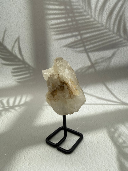 Krokodilquarz auf Ständer VI