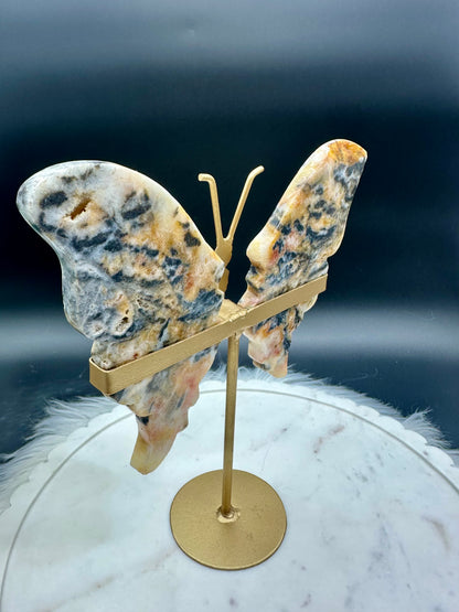 Achat Schmetterling groß