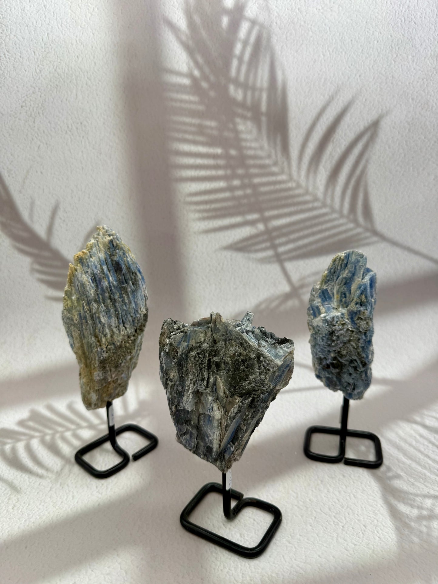 Blauer Kyanit auf Ständer