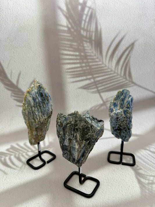 Blauer Kyanit auf Ständer