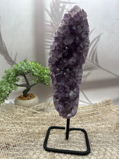 Amethyst auf Ständer - I - 3,1kg