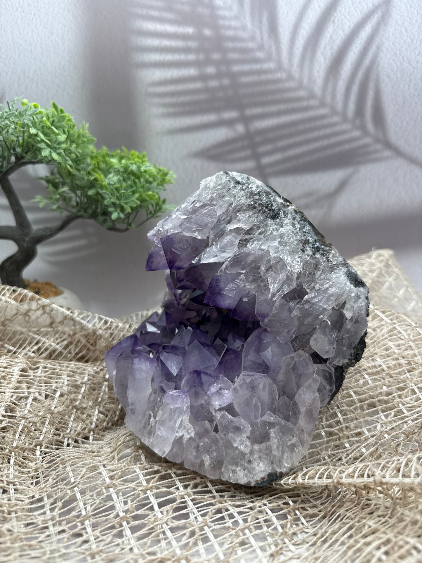 Amethyst Cluster - 3,1kg - Ladecluster
