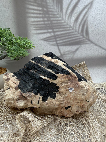 Schwarzer Turmalin - Golden Micca  - Rohstück