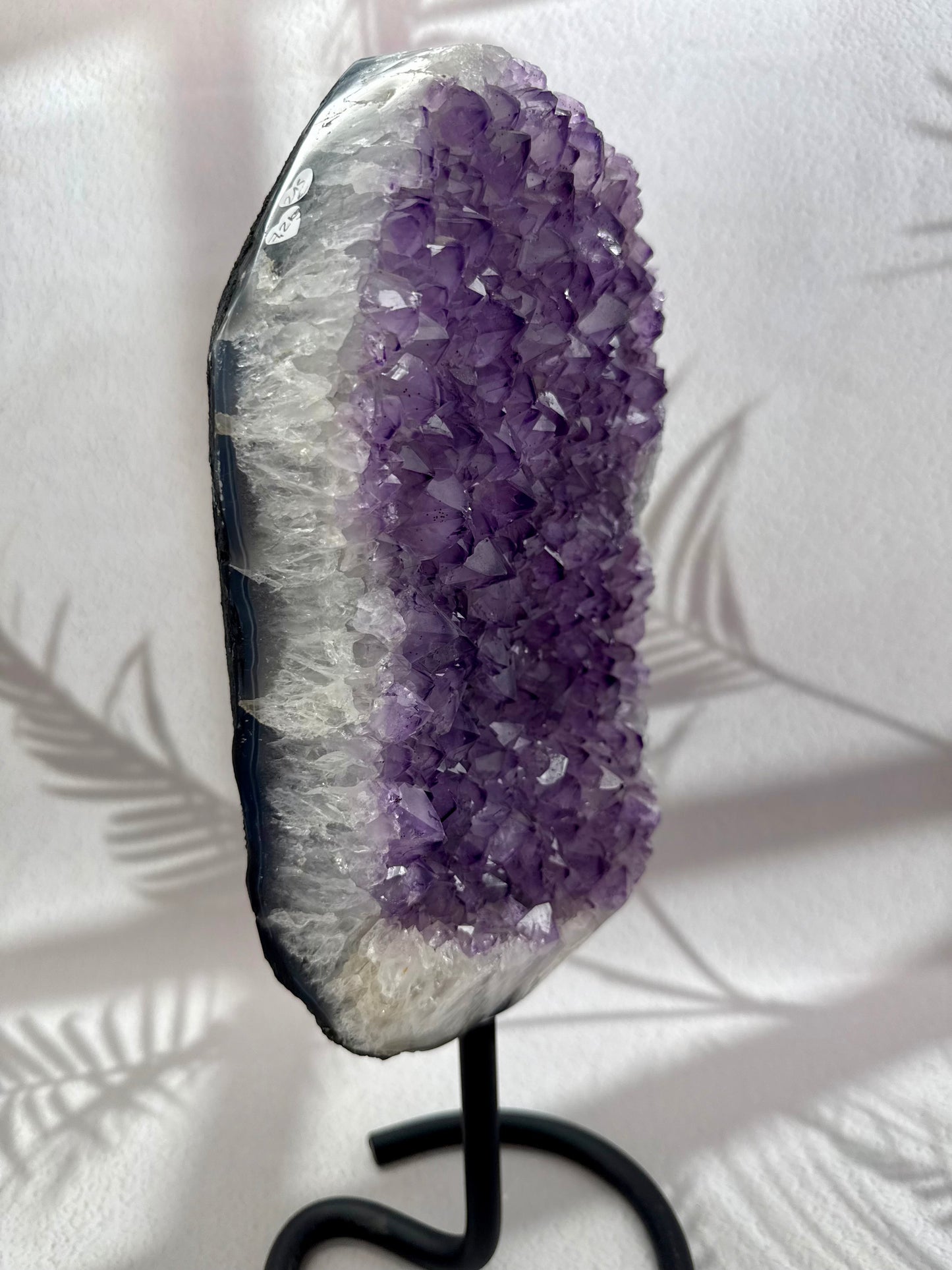 Amethyst Druse - 7,2kg