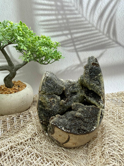 Septarie Druse - groß