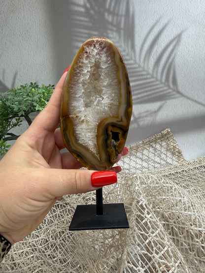 Achat auf Ständer - I