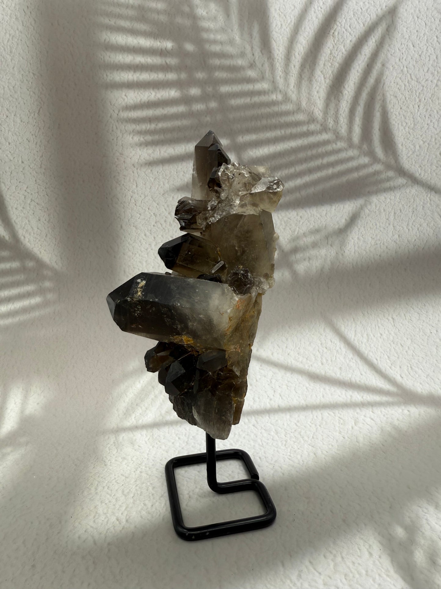 Rauchquarz auf Ständer III