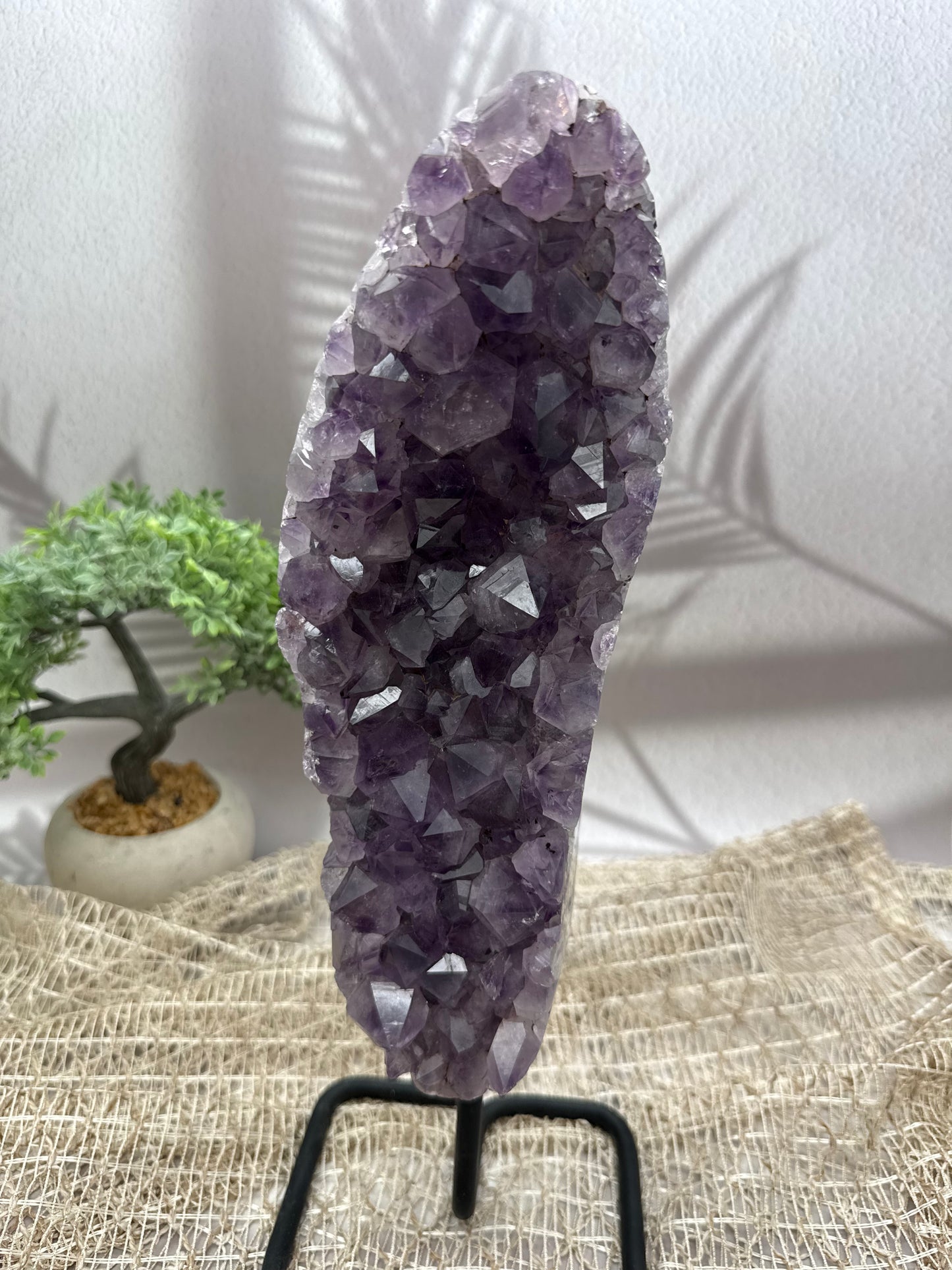 Amethyst auf Ständer - I - 3,1kg