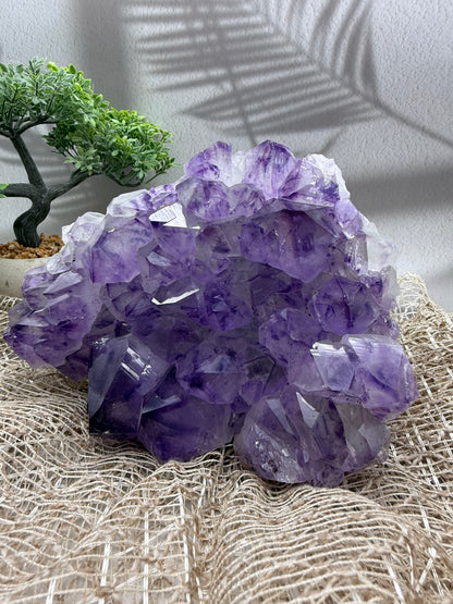 Amethyst Cluster - 5,3 kg - Ladecluster