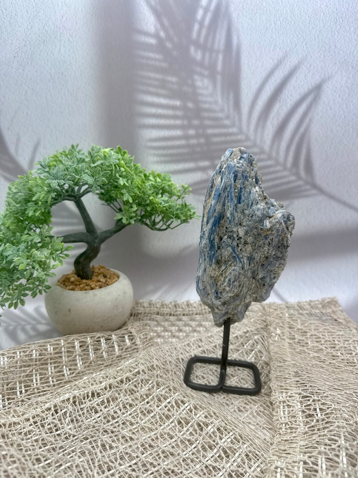 Blauer Kyanit auf Ständer II