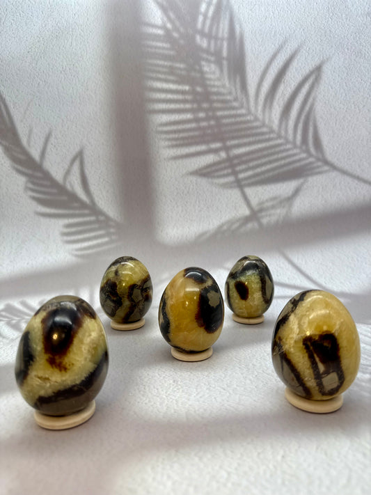 Septarie Eier