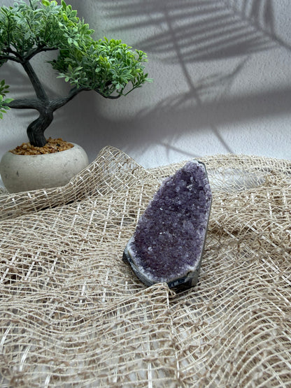 Amethyst Druse - IV