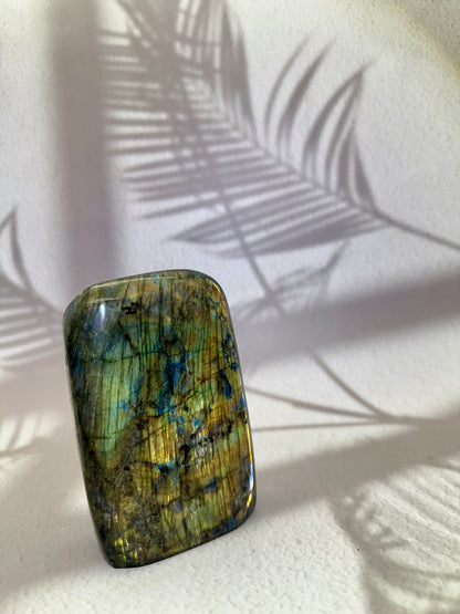 Labradorit Freiform VI