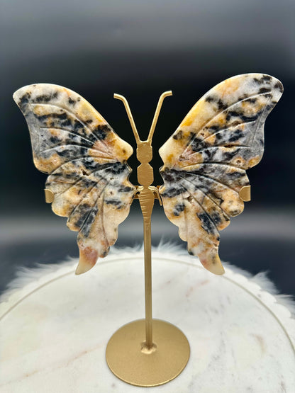 Achat Schmetterling groß