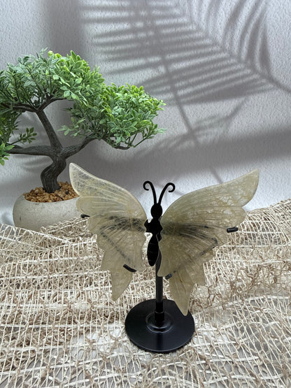 Fluorit Schmetterling