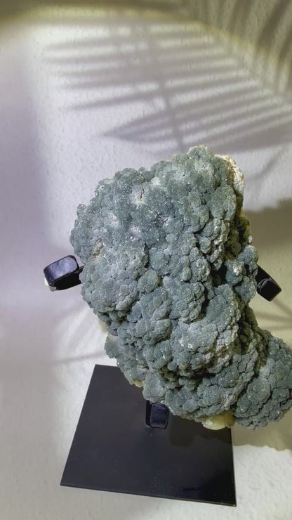 Grüner Amethyst / Prasiolith auf Ständer